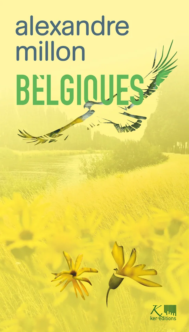 Couverture de Belgiques