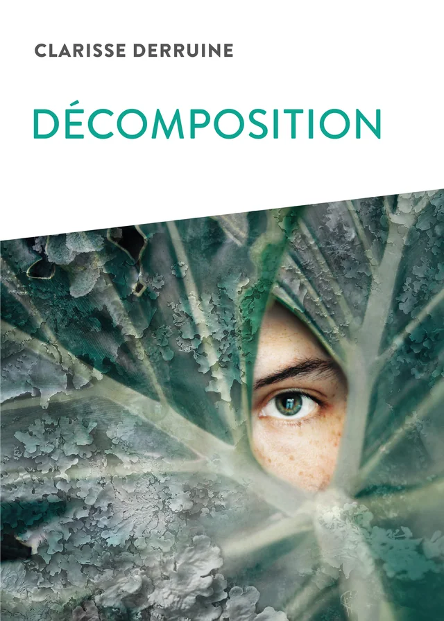 Couverture de Décomposition