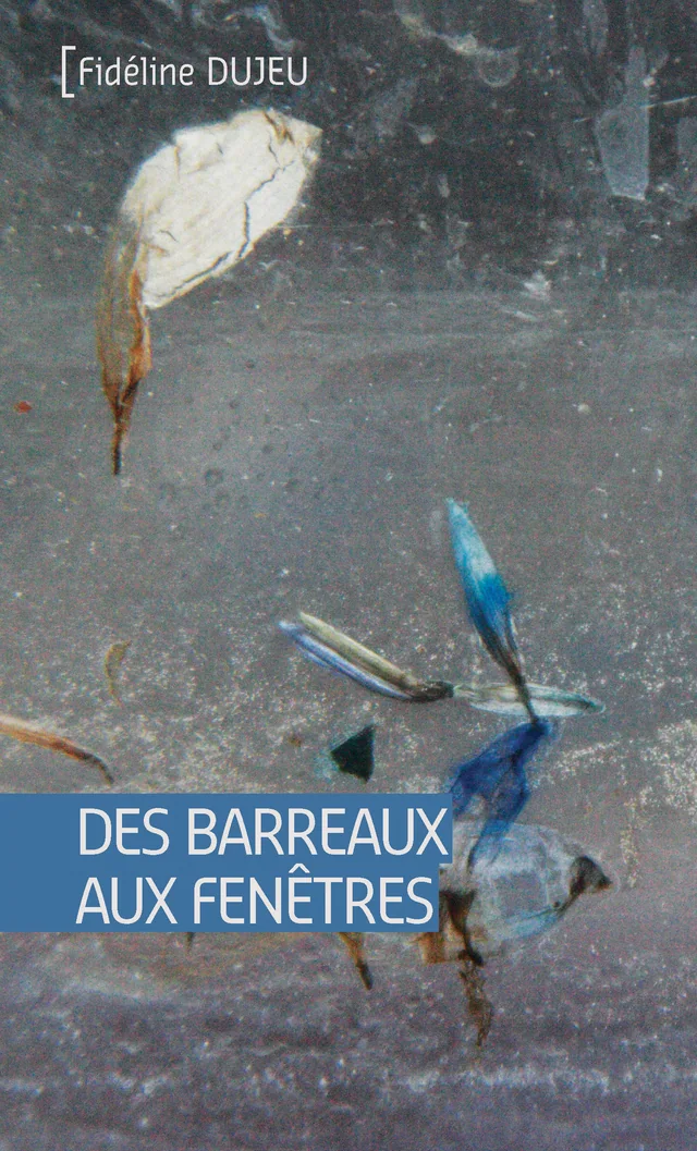 Couverture de Des barreaux aux fenêtres