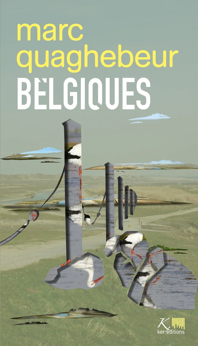 Couverture de Belgiques